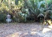 Franz Ross Disc Golf
