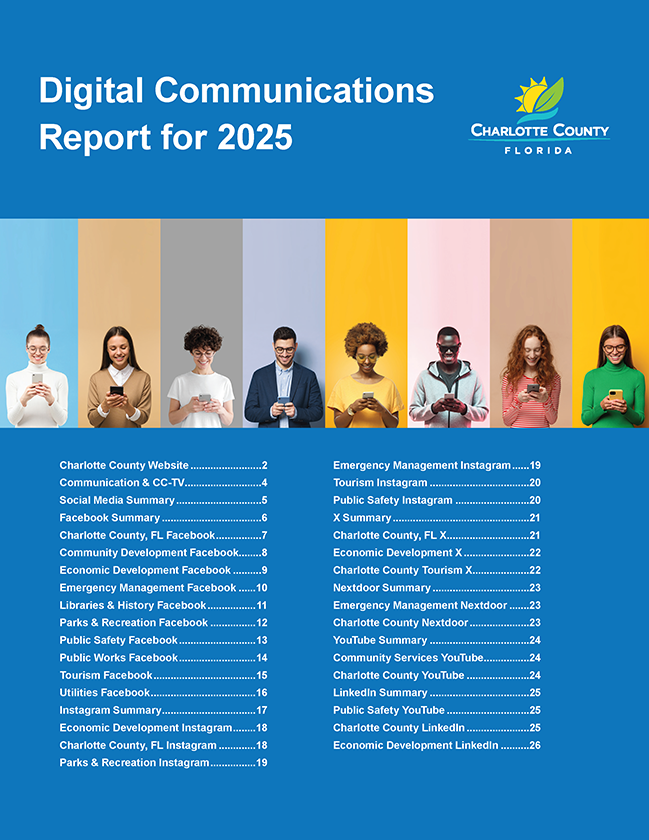 Picture of the digital communication report's cover